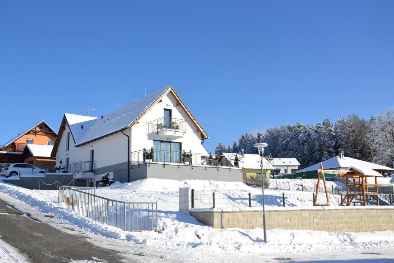 Apartmany Allis Lipno nad Vltavou Bagian luar foto